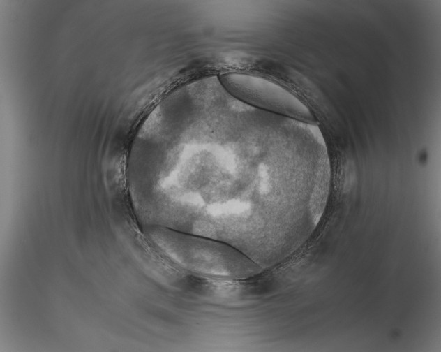 X0000115390425200912011233