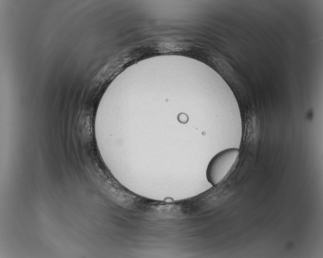 X0000115390426200912011233