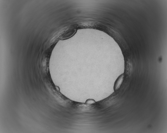 X0000115390428200912011233