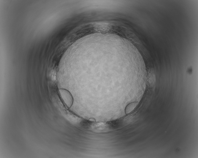 X0000115390431200912011232