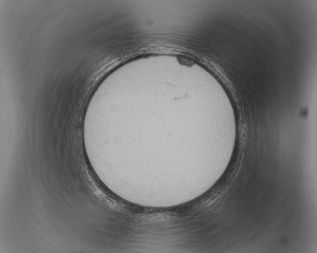 X0000115390433200912011232