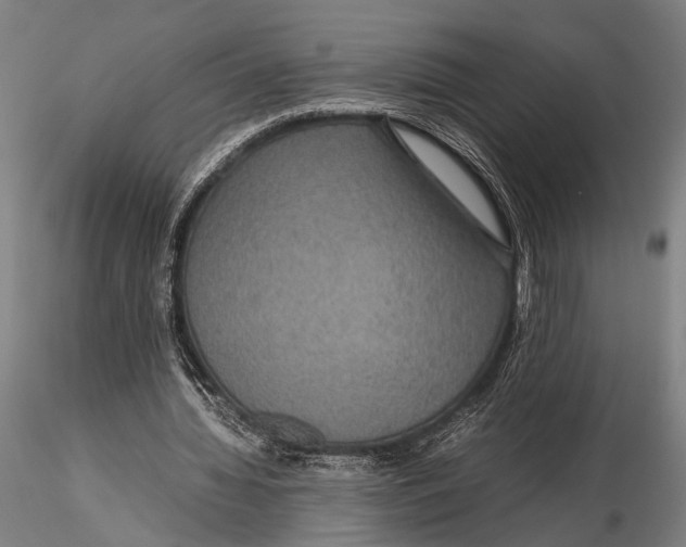 X0000115390436200912011232