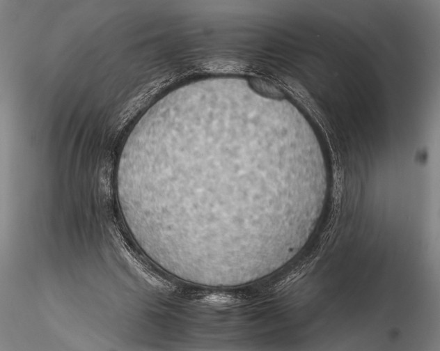 X0000115390441200912011232