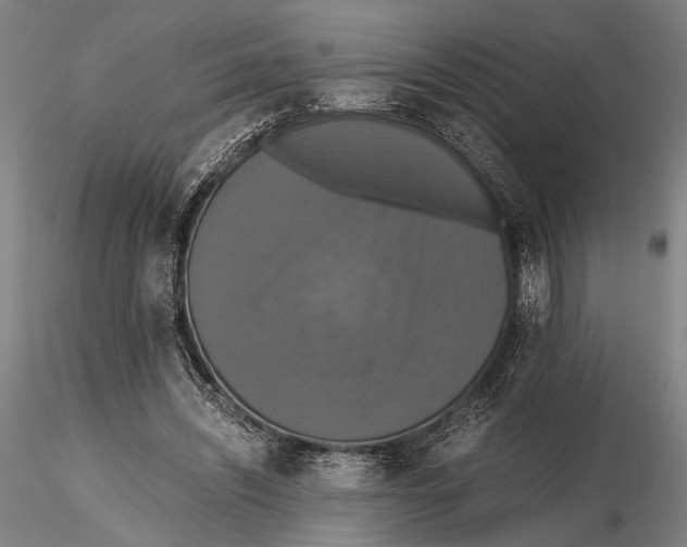 X0000115390444200912011232