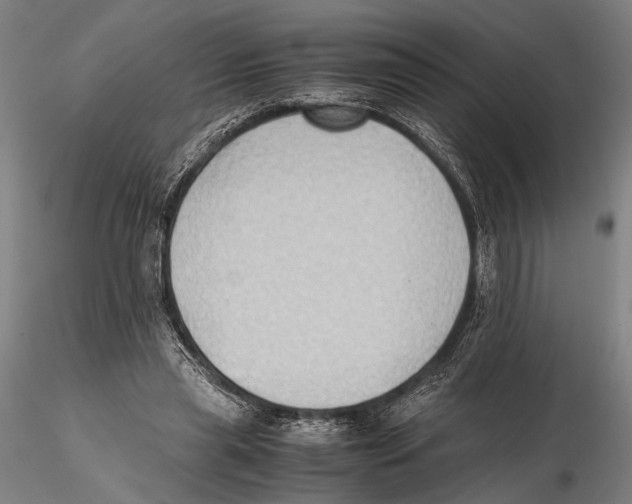 X0000115390445200912011232