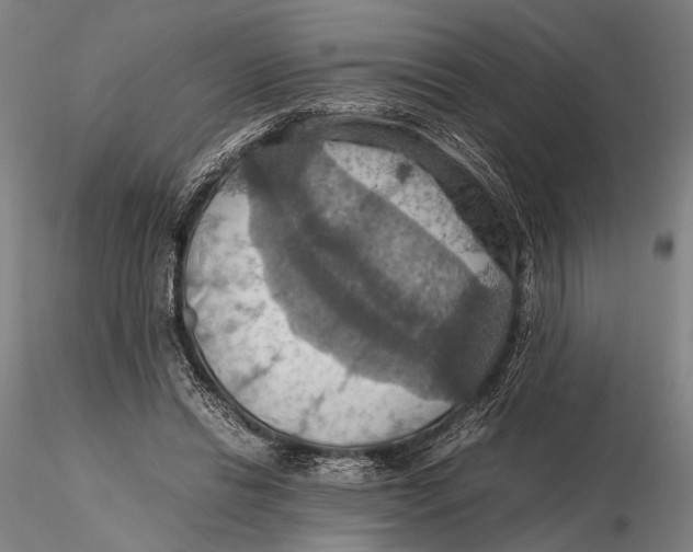 X0000115390446200912011232