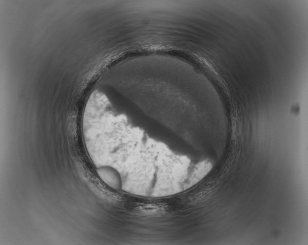 X0000115390447200912011232