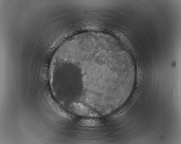 X0000115390449200912011232