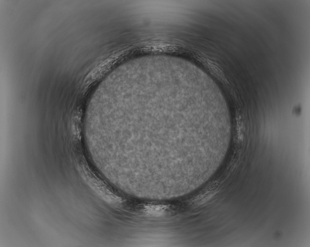 X0000115390450200912011232