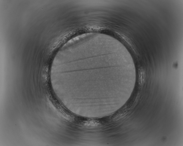 X0000115390451200912011232