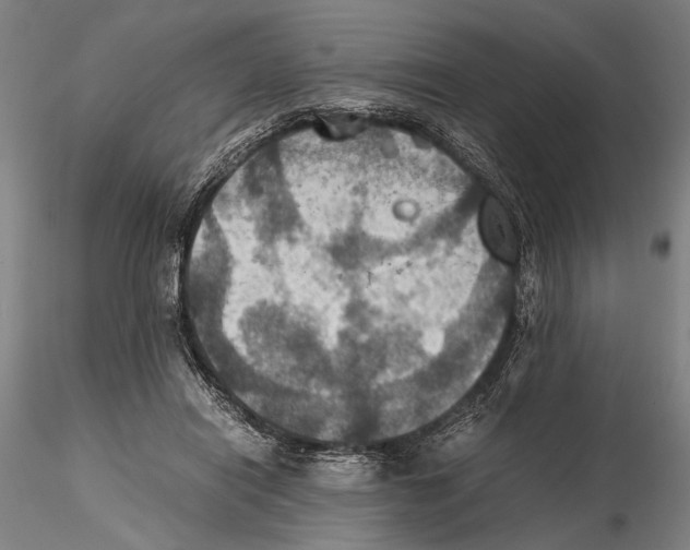 X0000115390454200912011232