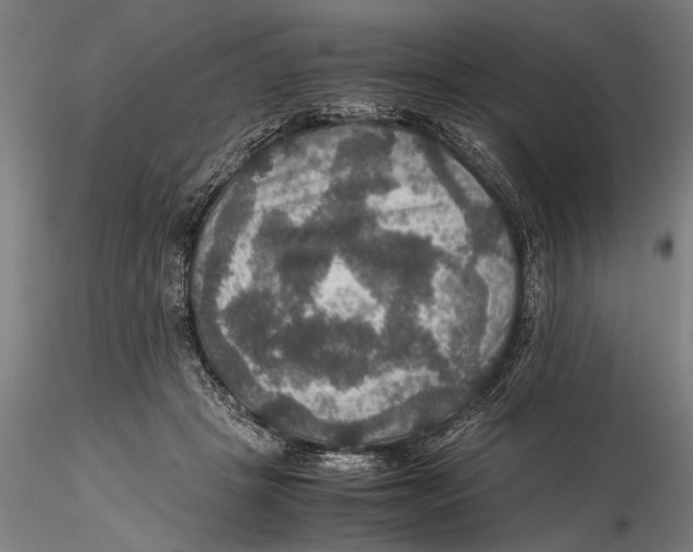 X0000115390457200912011232