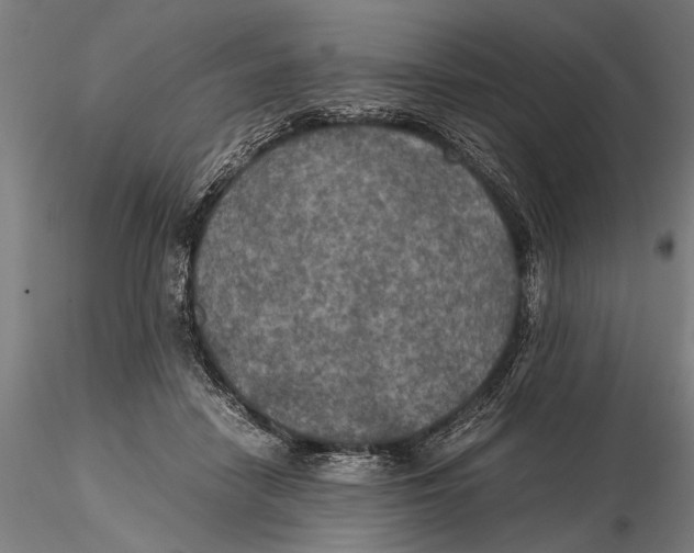 X0000115390458200912011232