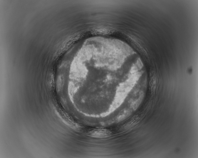 X0000115390459200912011232