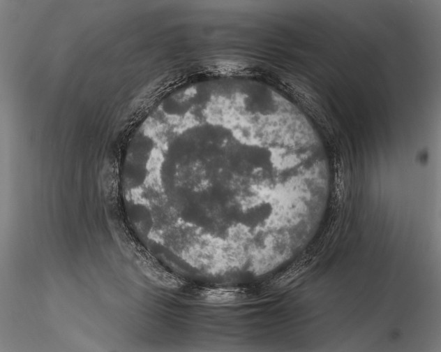 X0000115390461200912011232