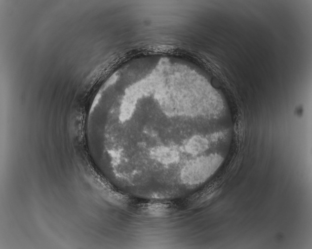 X0000115390462200912011232