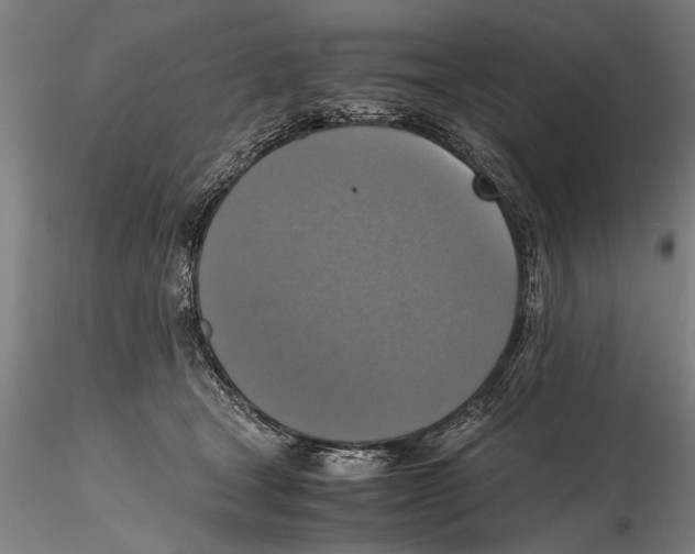 X0000115390465200912011232