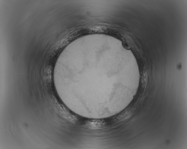 X0000115390466200912011232