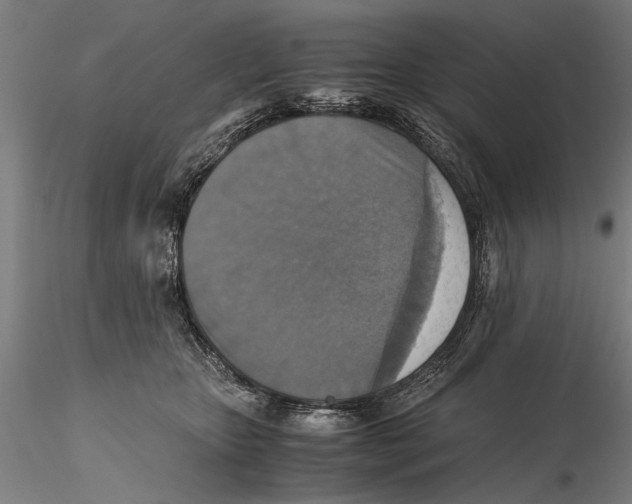 X0000115390467200912011232