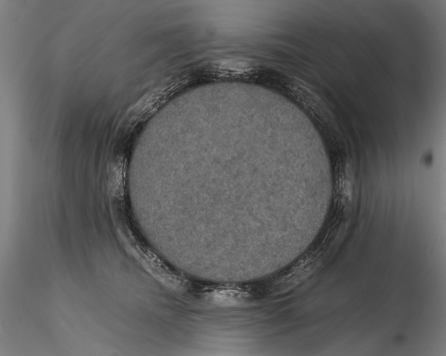 X0000115390468200912011232