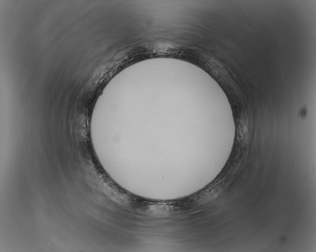 X0000115390470200912011232