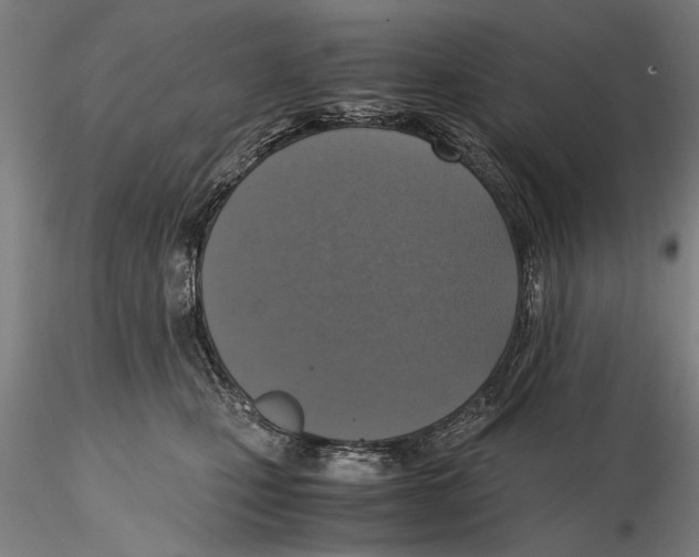 X0000115390471200912011232