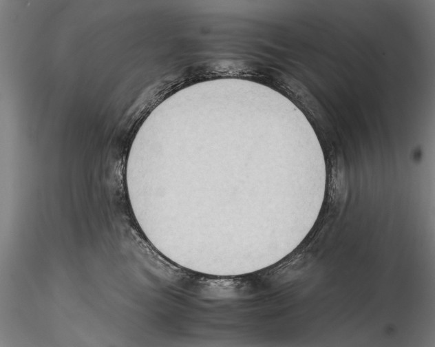 X0000115390473200912011232