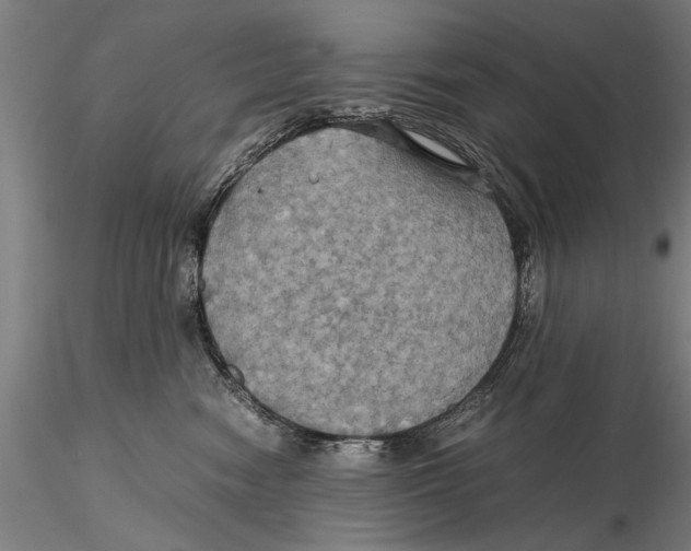 X0000115390474200912011232