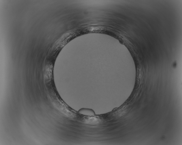 X0000115390475200912011232