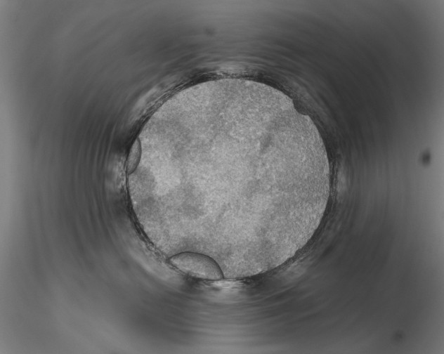 X0000115390478200912011232