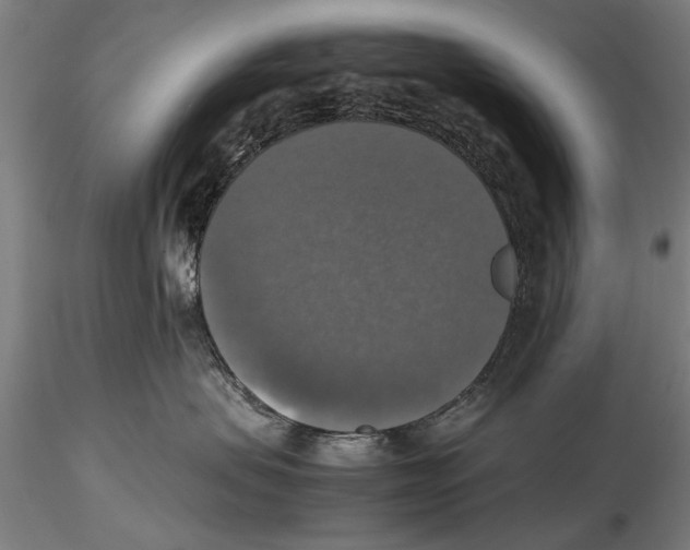 X0000115390479200912011232