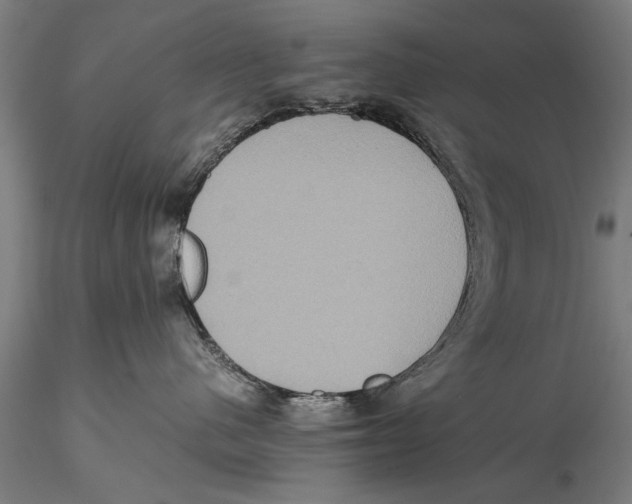 X0000115390480200912011232