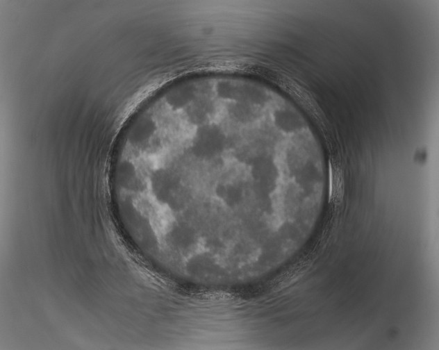 X0000115390483200912011232