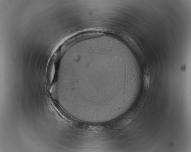 X0000115390484200912011232