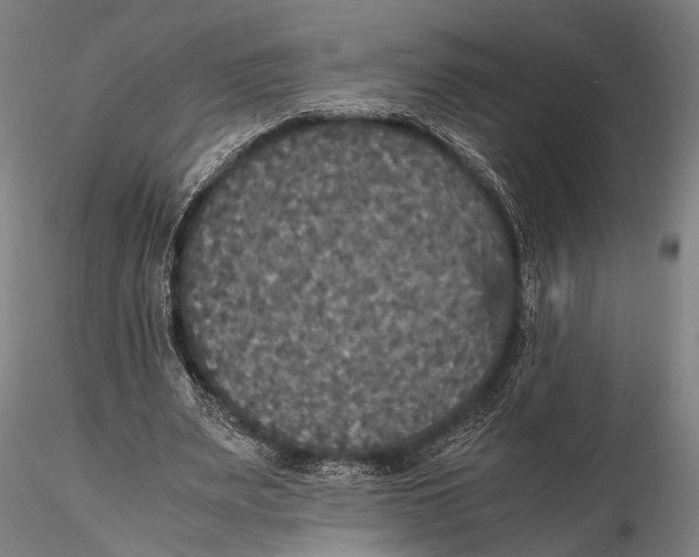 X0000115390487200912011232