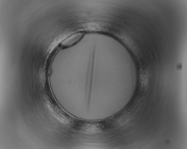 X0000115390488200912011232