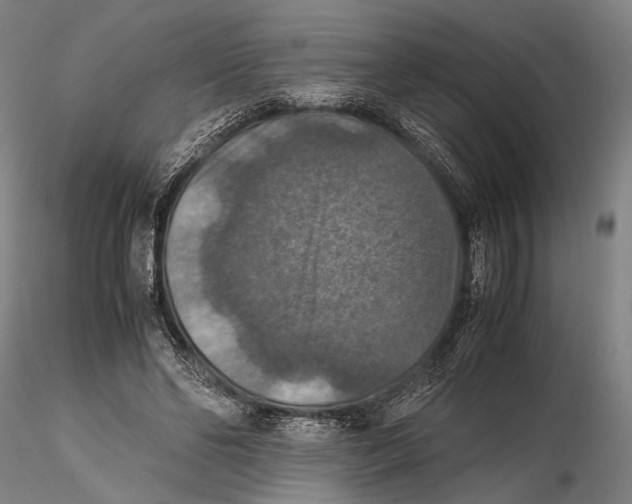 X0000115390494200912011232