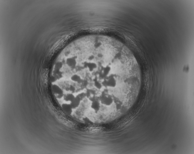 X0000115390495200912011232