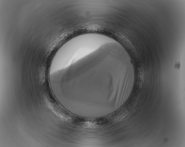 X0000115390496200912011232