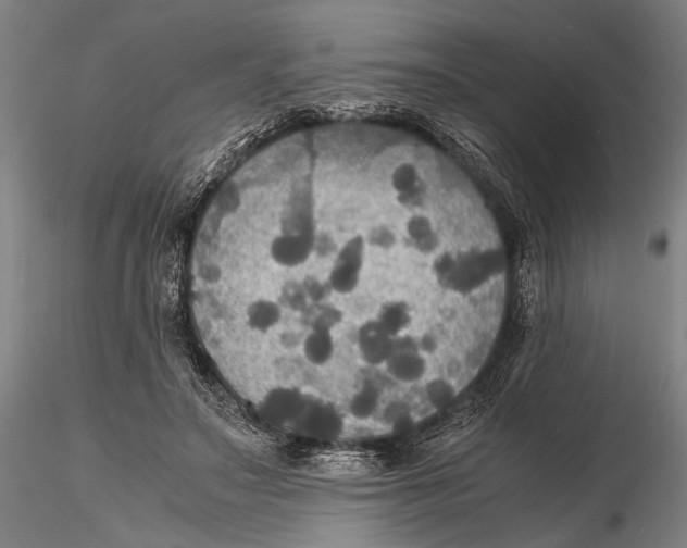 X0000115390499200912011232