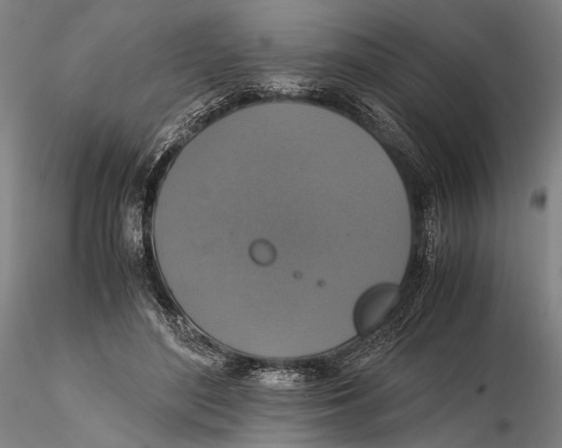 X0000115390500200912011232