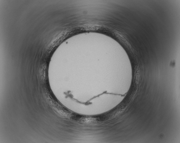 X0000115390501200912011231