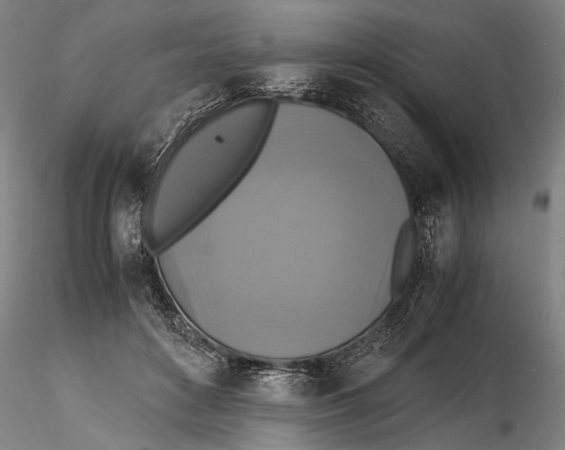 X0000115390504200912011231