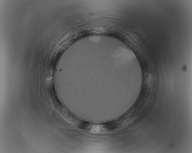 X0000115390507200912011231