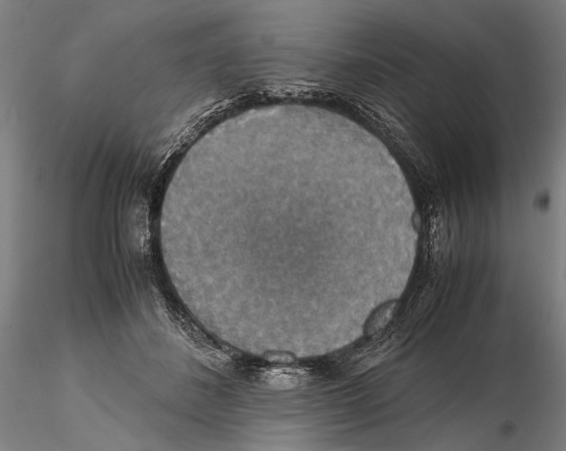 X0000115390508200912011231