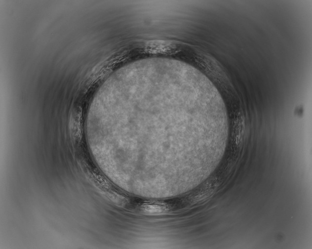 X0000115390510200912011231