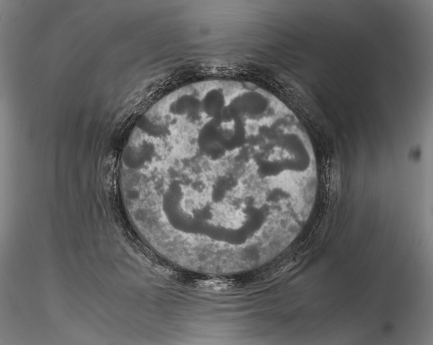 X0000115390511200912011231