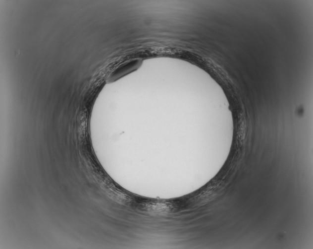 X0000115390513200912011231