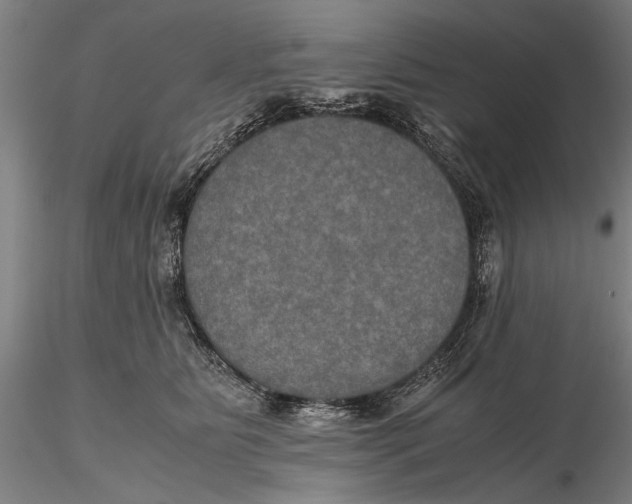 X0000115390515200912011231