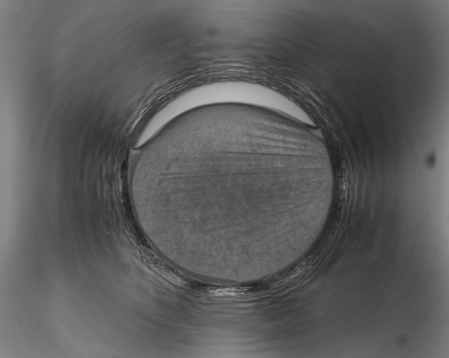 X0000115390516200912011231